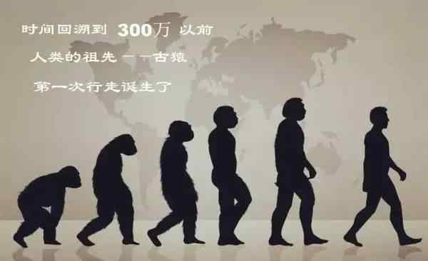 地球上第一个人是谁 地球上第一个人是怎么来的？浅谈人类的进化史