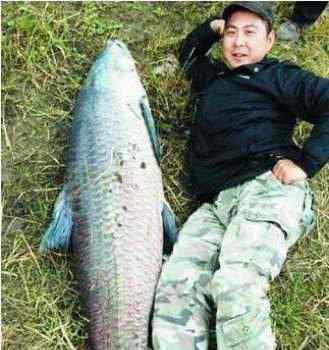 中国钓鱼视频 中国钓鱼钓到最大的鱼图，钓鱼钓100斤鲤鱼视频