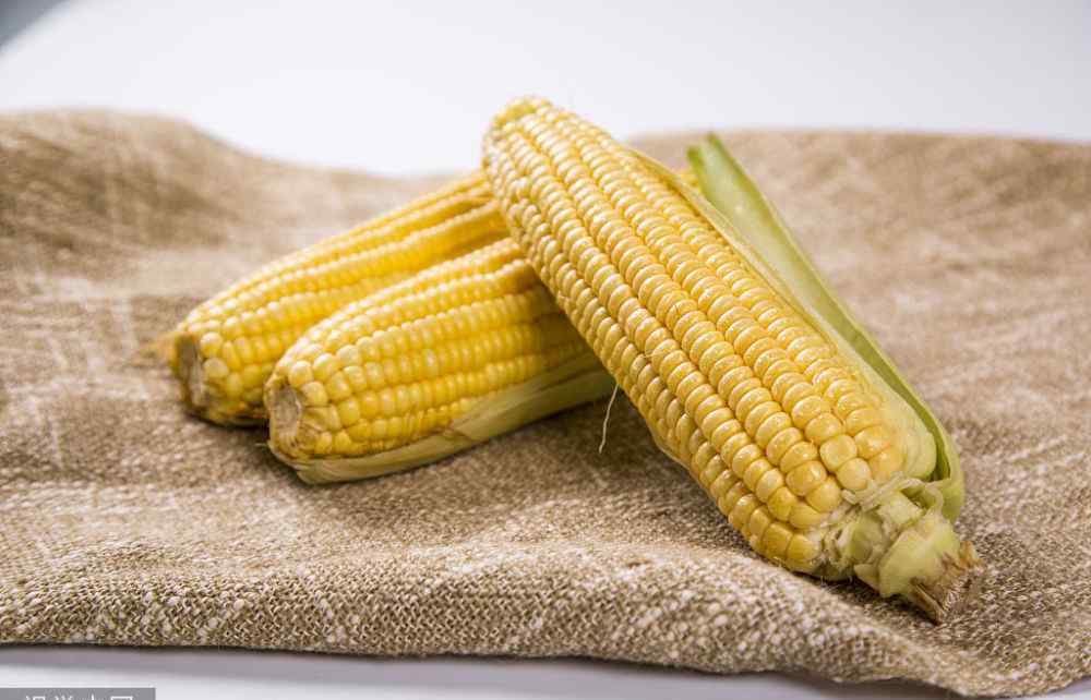 玉米价格是多少钱一斤 今日玉米多少钱一斤？2020年1月12日全国玉米价格行情