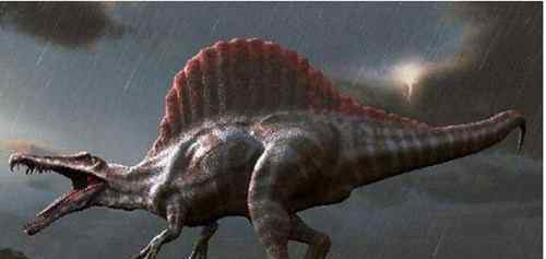 恐怖恐龙 史前最大食肉恐龙