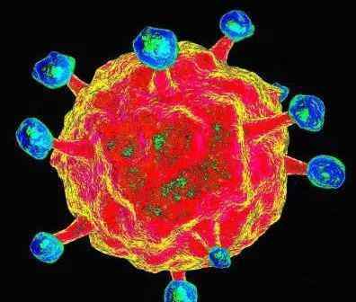 急性淋巴细胞白血病能治愈吗 什么是急性淋巴细胞白血病？