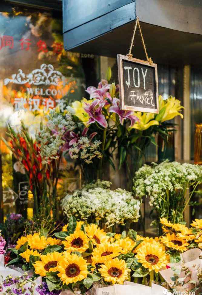 武汉鲜花店 在武汉最大鲜花市场，100元买够生活美好，人间值得！