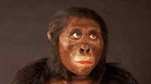 最早的人类 世界上最早的人类诞生于什么时候