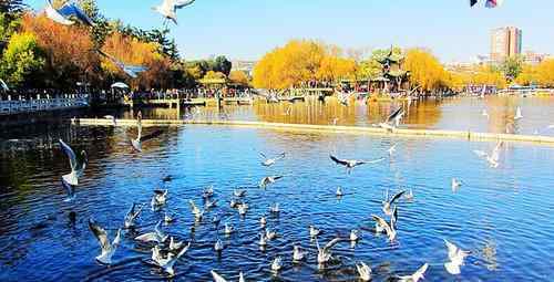 中国十大避寒城市 中国值得推荐的5个避寒城市。一个比一个暖和