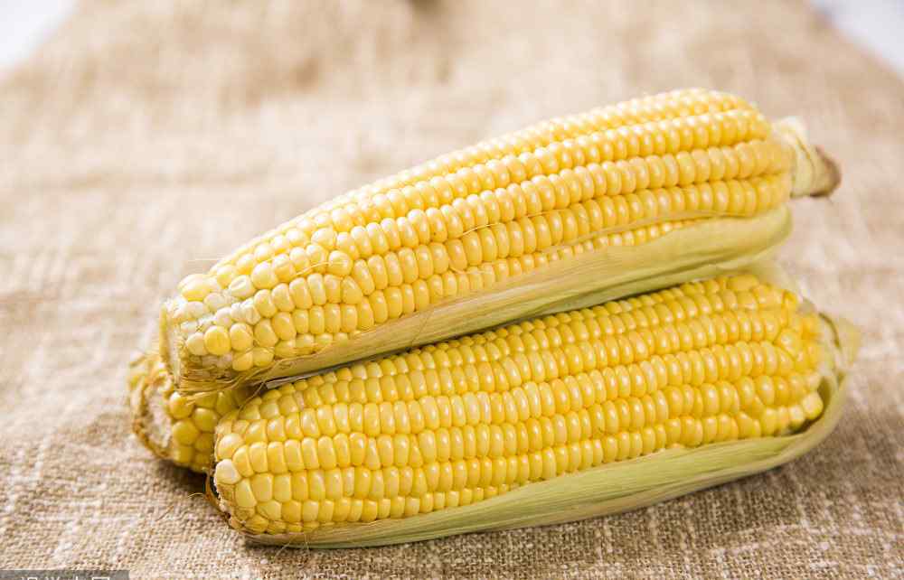 玉米价格是多少钱一斤 今日玉米多少钱一斤？2020年1月12日全国玉米价格行情