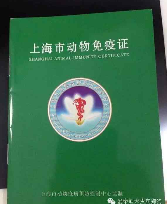 狗狗托运 宠物狗狗托运回家办证攻略，过年把宠物带咯