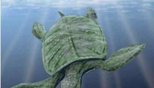 世界上最大的龟 地球史上最大乌龟
