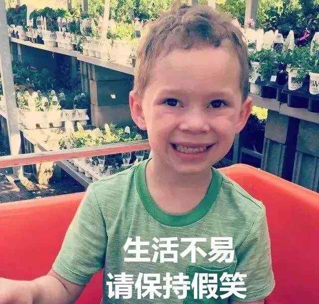 厦门野山谷生态乐园 尴尬！厦门首座玻璃吊桥开业5天就停业了！原因竟是…