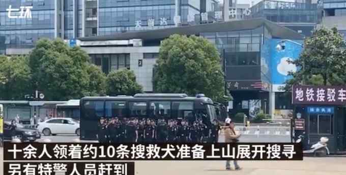 十余人领着约10条搜救犬 大量特警加入搜寻杭州外逃金钱豹！