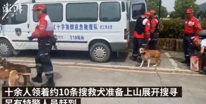 十余人领着约10条搜救犬 大量特警加入搜寻杭州外逃金钱豹！