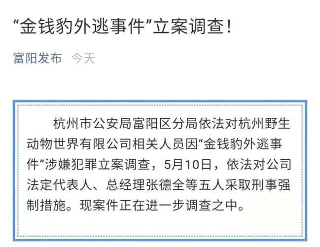 杭州公安对金钱豹外逃事件立案调查 事件详细经过！