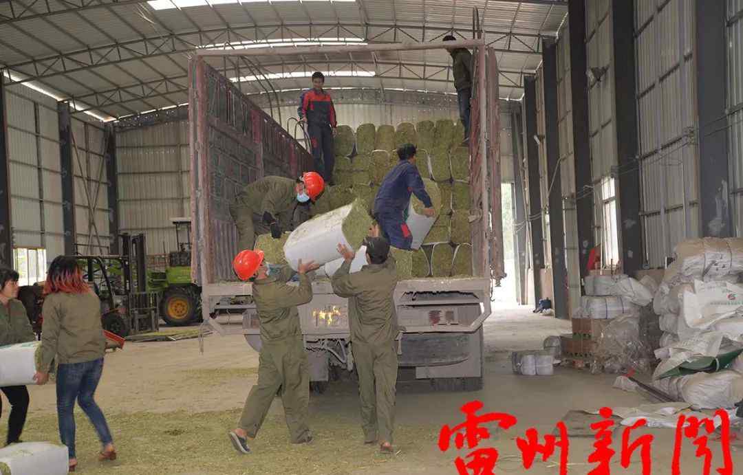 雷州租房 2018整年雷州做了这十件事,你感受到了吗？文章配图
