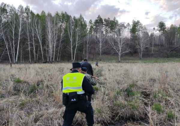 大兴安岭有熊出没 有村民的牛被咬死 事情的详情始末是怎么样了！