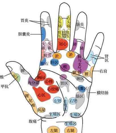 手掌对应器官高清大图 标准手诊图，手部全息反射区值得收藏!