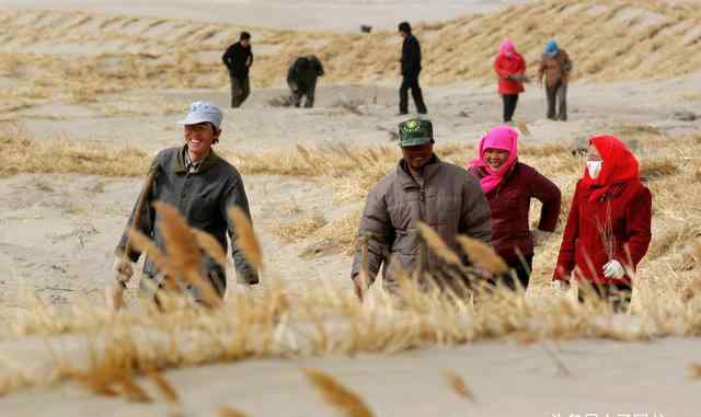 准葛尔盆地 准噶尔盆地再现波光粼粼，面积已超过6000亩，沙漠甘泉从哪里来？