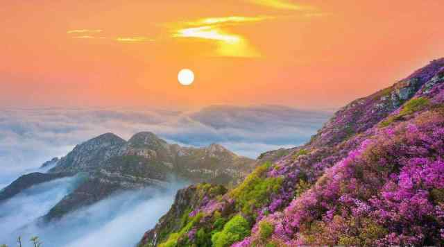 大连大黑山 大连最低调的一座山：被誉为辽南第一山，却是3A景区，就在大连文章配图