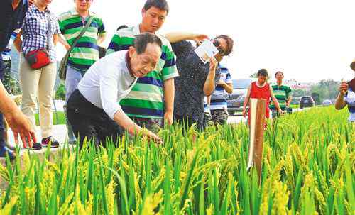 袁隆平在三亚的最后时光 病榻上仍然坚持听汇报 目前是什么情况？