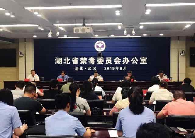 湖北禁毒网 湖北省禁毒办发布全省最新毒情形势 去年缴获各类毒品4.45吨文章配图