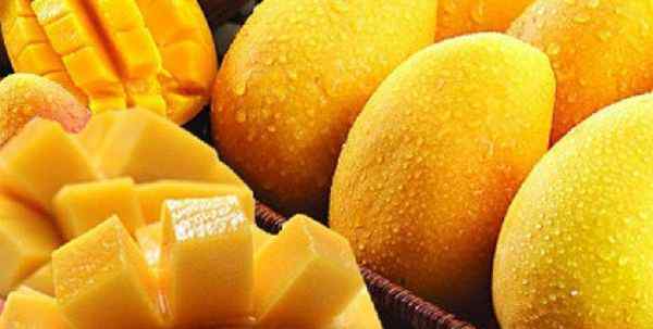 芒果和什么吃会中毒 芒果不能和什么一起吃，芒果禁忌搭配吃了小心中毒