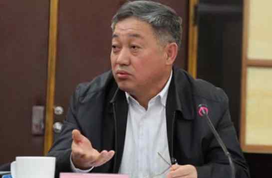 武文元内蒙古自治区38个省部级厅级贪官大全哪些人被判死刑哪些人贪得