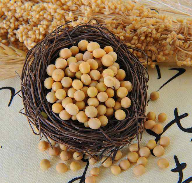 大豆磷脂 大豆磷脂是什么？文章配图