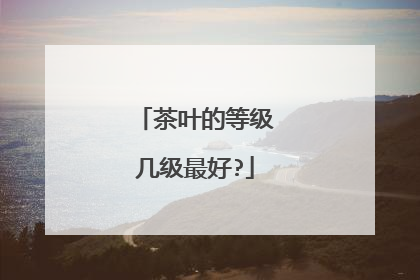 茶叶的等级几级最好?