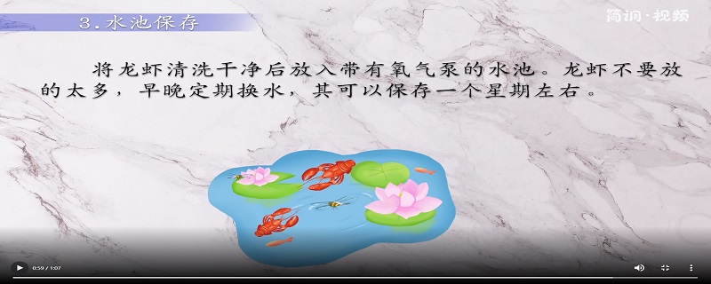 活的龙虾怎么保存 活的小龙虾怎么保存