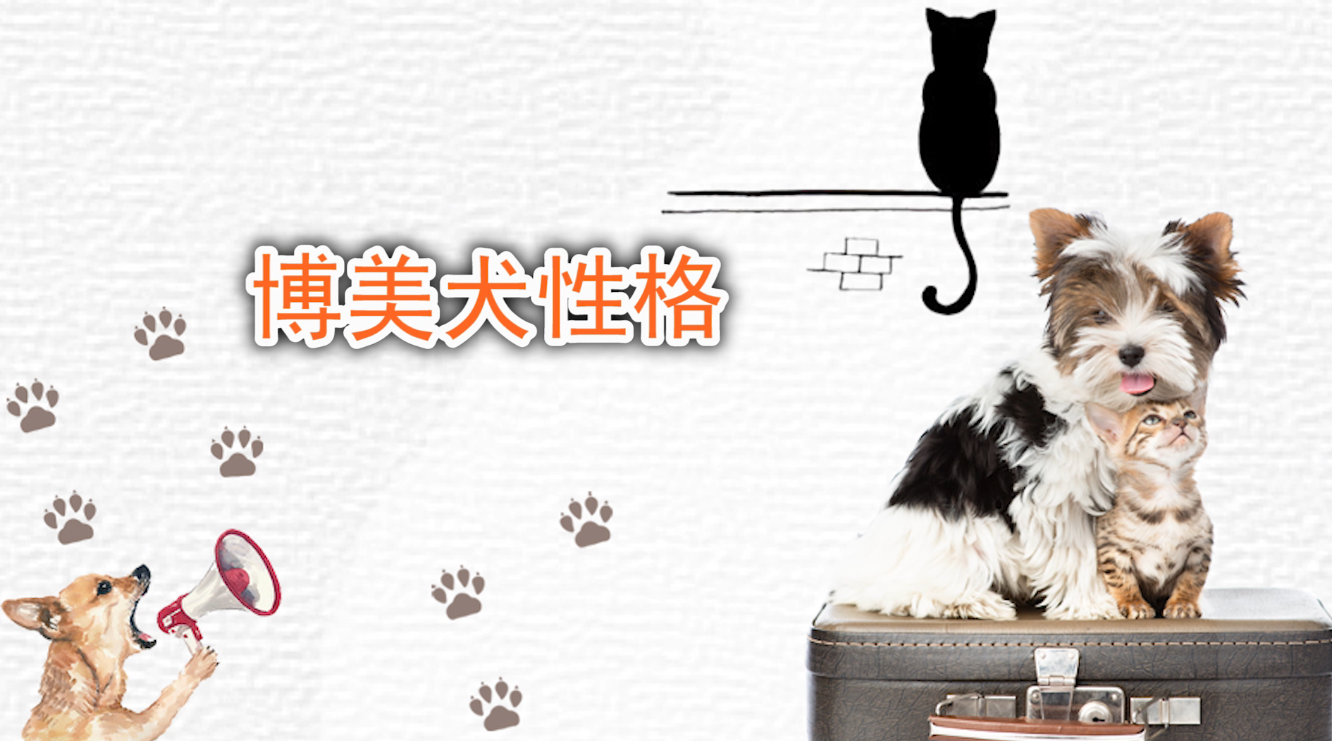 博美犬的性格 博美犬的性格描写