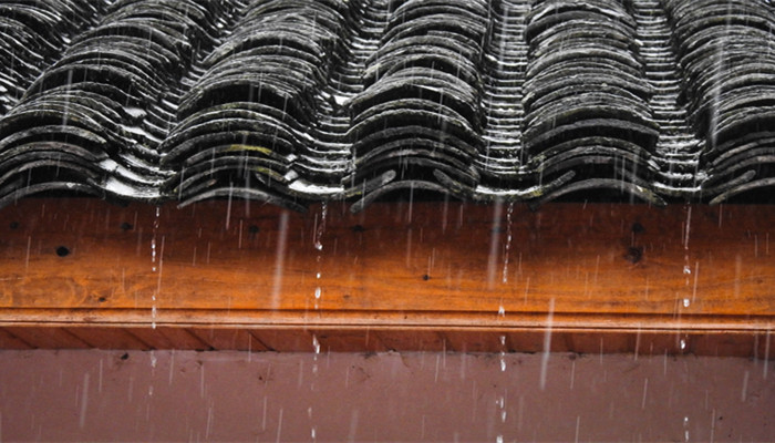 梅雨季节是什么时间 梅雨季节是什么时间农历