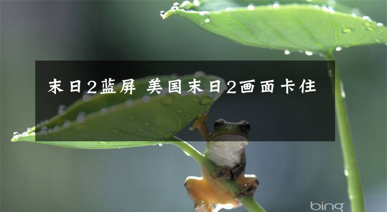 末日2蓝屏 美国末日2画面卡住
