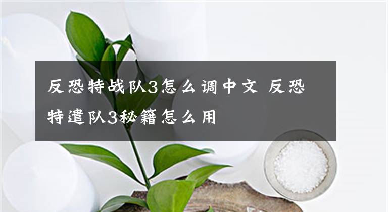 反恐特战队3怎么调中文 反恐特遣队3秘籍怎么用