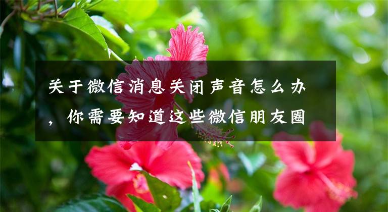 关于微信消息关闭声音怎么办，你需要知道这些微信朋友圈提醒怎么删除 设置取消不提醒方法