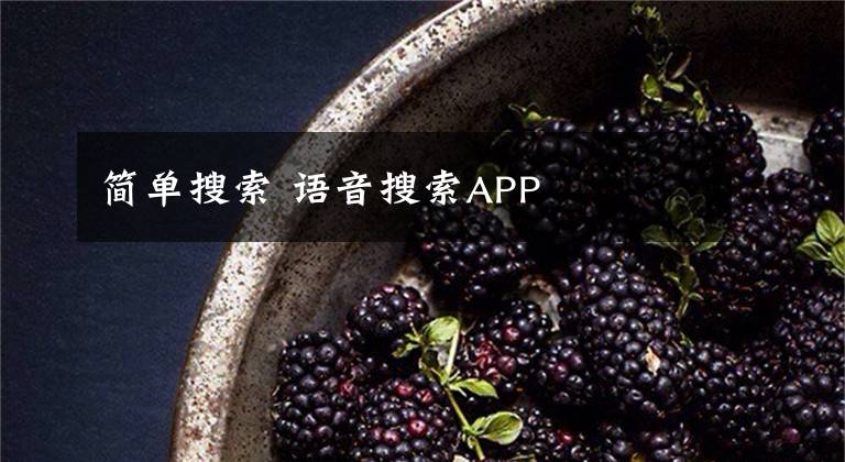 简单搜索 语音搜索APP