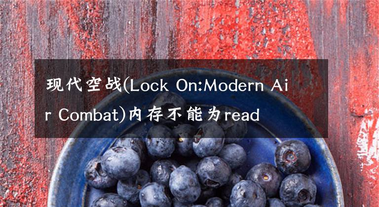 现代空战(Lock On:Modern Air Combat)内存不能为read