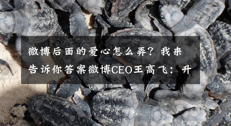 微博后面的爱心怎么弄？我来告诉你答案微博CEO王高飞：升级公益计划 为共同富裕助力