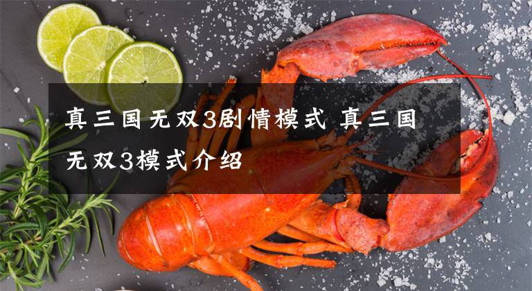 真三国无双3剧情模式 真三国无双3模式介绍