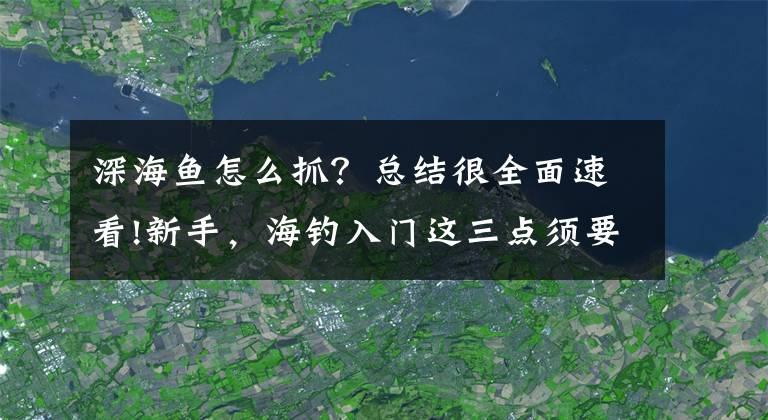 深海鱼怎么抓？总结很全面速看!新手，海钓入门这三点须要知道