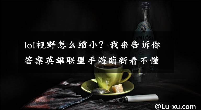 lol视野怎么缩小？我来告诉你答案英雄联盟手游萌新看不懂视野怎么办？没关系，看完你就明白