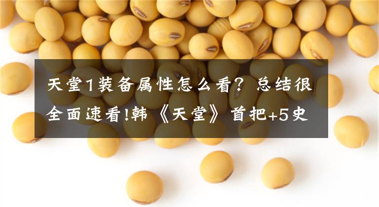 天堂1装备属性怎么看？总结很全面速看!韩《天堂》首把+5史诗武器出炉 价值4亿韩币