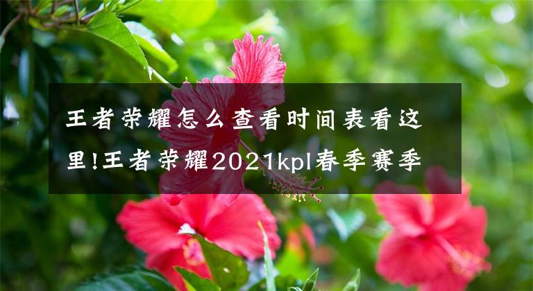 王者荣耀怎么查看时间表看这里!王者荣耀2021kpl春季赛季前赛赛程表在哪里看 具体赛程安排公布