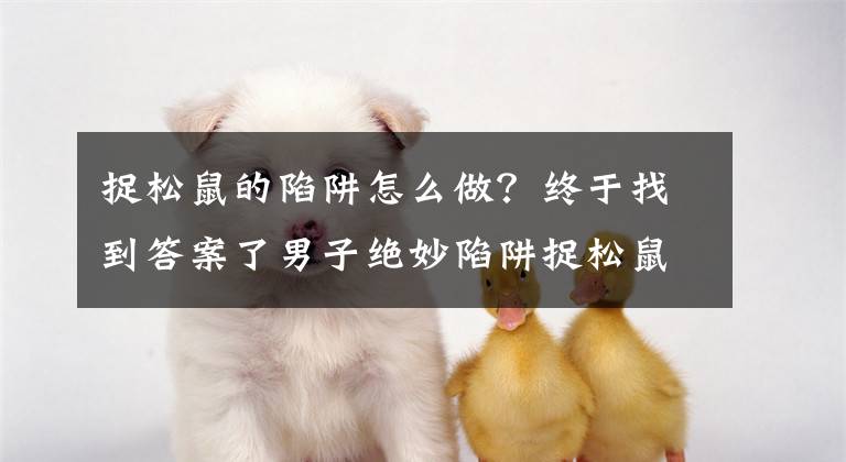 捉松鼠的陷阱怎么做？终于找到答案了男子绝妙陷阱捉松鼠，松鼠钻进瓶子偷吃，吃饱了出不来了！