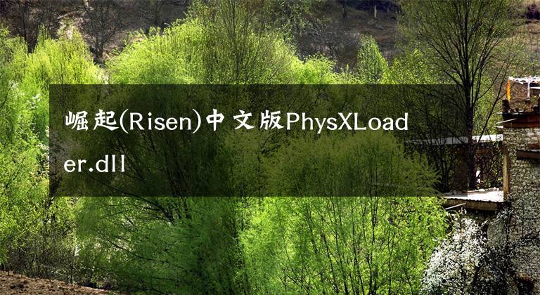 崛起(Risen)中文版PhysXLoader.dll