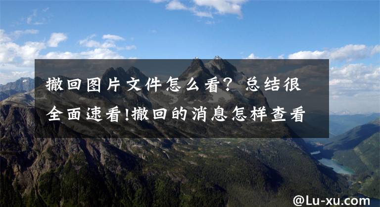 撤回图片文件怎么看？总结很全面速看!撤回的消息怎样查看？复制不了网页的文字怎么办？办法来了