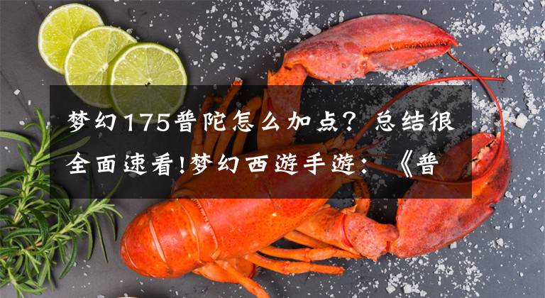 梦幻175普陀怎么加点？总结很全面速看!梦幻西游手游：《普陀山》这样搭配也能大放异彩