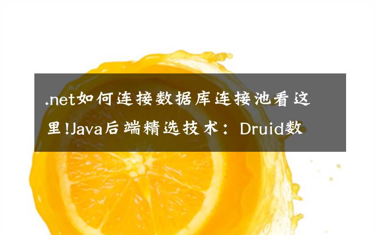 .net如何连接数据库连接池看这里!Java后端精选技术：Druid数据库连接池就是这么简单