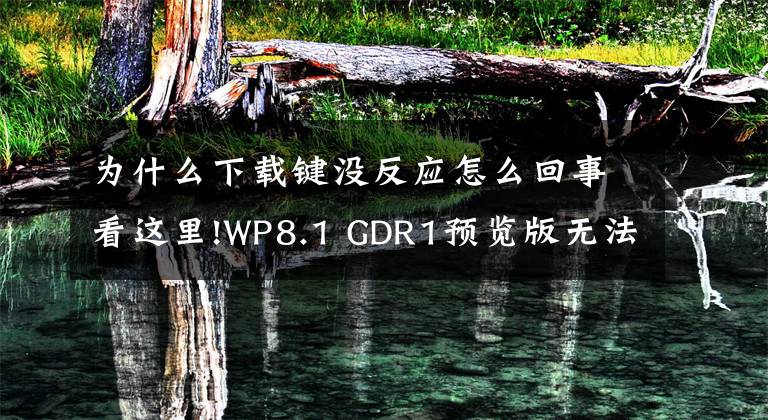 为什么下载键没反应怎么回事看这里!WP8.1 GDR1预览版无法下载键盘和语音包？