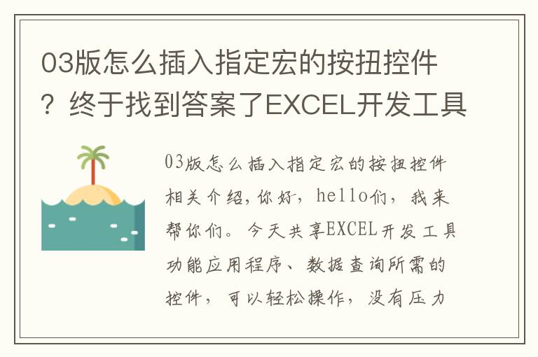 03版怎么插入指定宏的按扭控件？终于找到答案了EXCEL开发工具功能应用，数据查询必备控件，轻松操作无压力