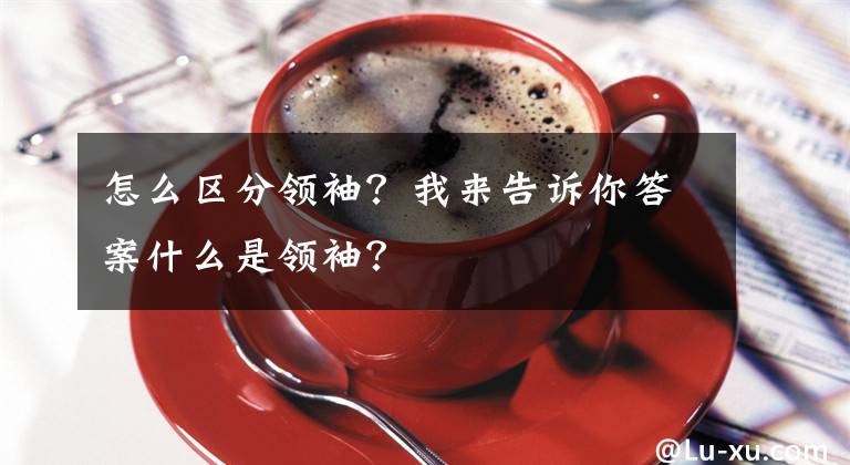 怎么区分领袖？我来告诉你答案什么是领袖？