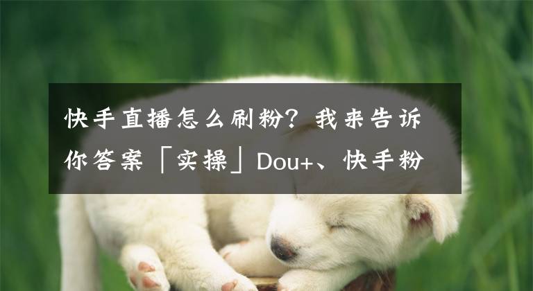 快手直播怎么刷粉？我来告诉你答案「实操」Dou+、快手粉条涨粉攻略2.0
