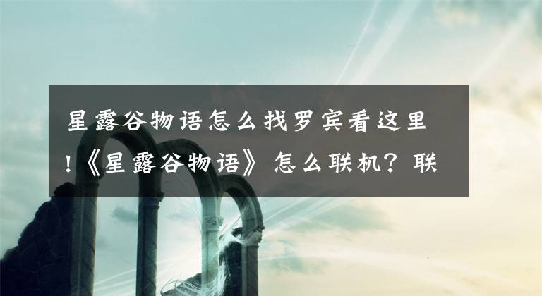 星露谷物语怎么找罗宾看这里!《星露谷物语》怎么联机？联机方法图文介绍